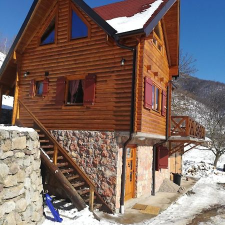 Vila Jelena Crni Vrh Dış mekan fotoğraf