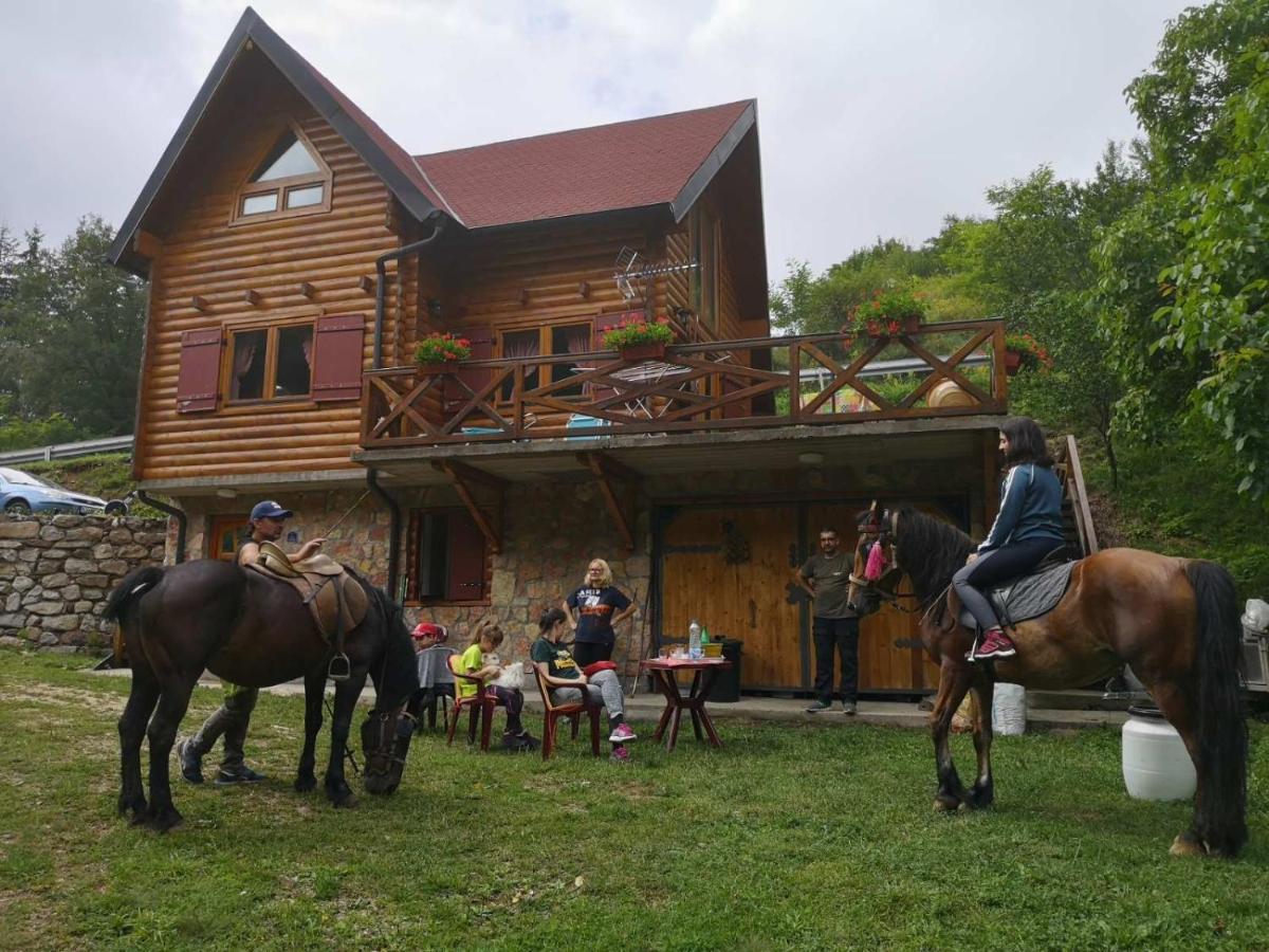 Vila Jelena Crni Vrh Dış mekan fotoğraf