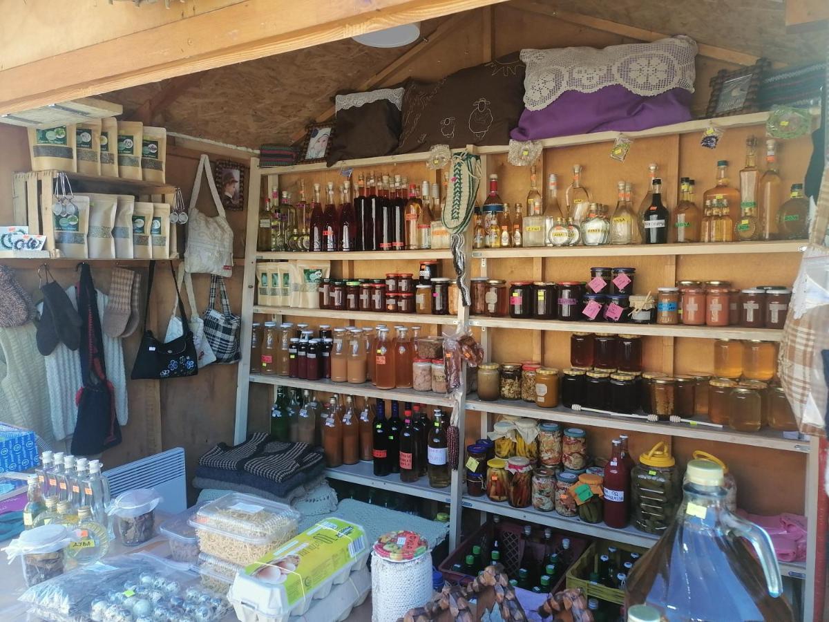 Vila Jelena Crni Vrh Dış mekan fotoğraf