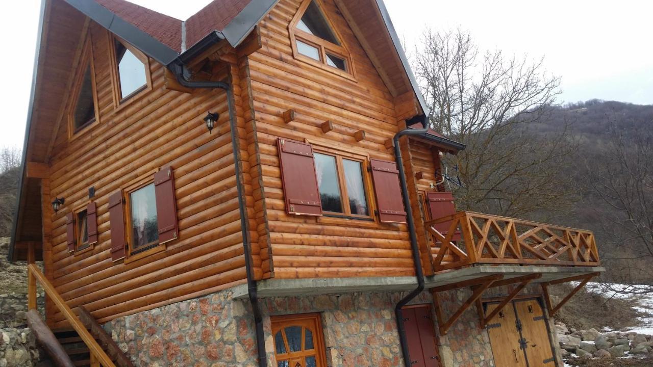 Vila Jelena Crni Vrh Dış mekan fotoğraf