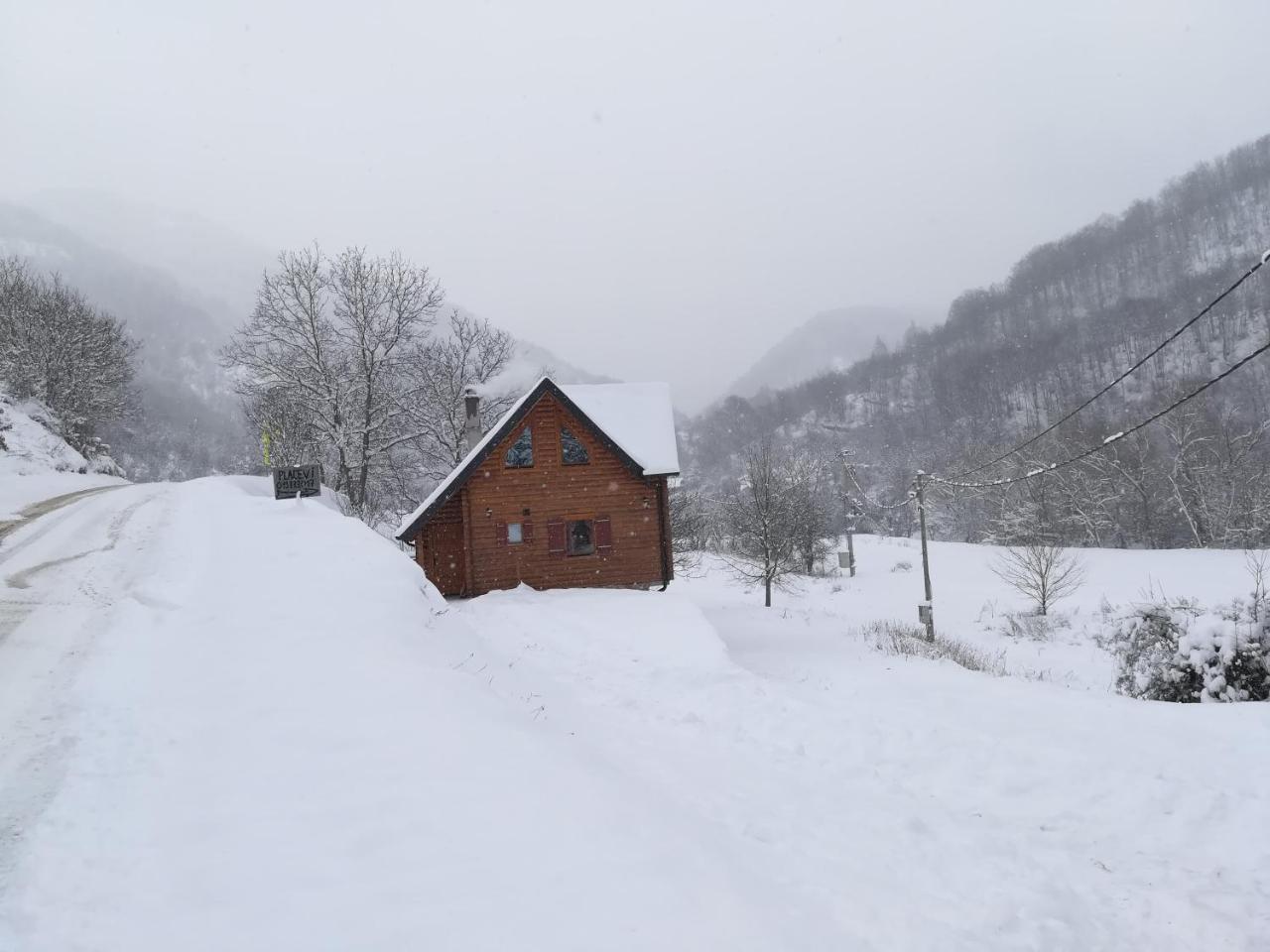 Vila Jelena Crni Vrh Dış mekan fotoğraf