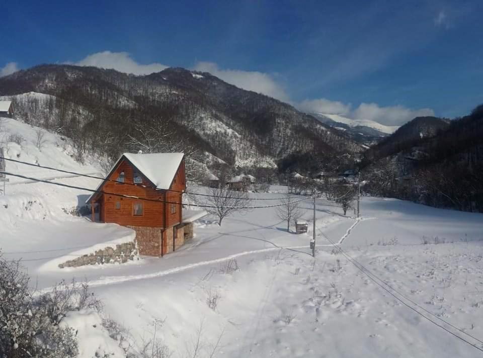 Vila Jelena Crni Vrh Dış mekan fotoğraf